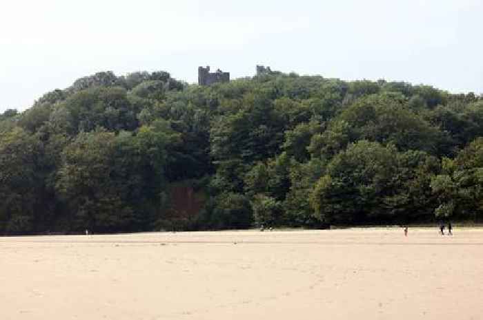 Pet warning as mystery sickness making dogs ill at Welsh beach