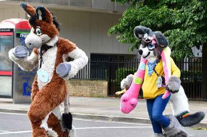 Birmingham to host 'thousands of furries' with UK's largest convention this year