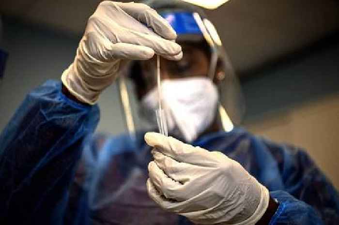 Never-seen-before virus that's 'threat to all mankind' could have horrific symptoms