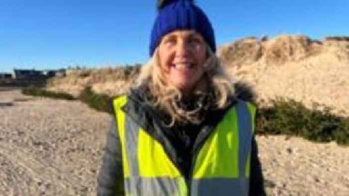 Christmas trees used to shore up beach dunes