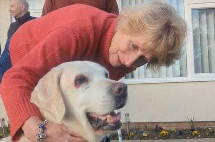 Emotional moment stolen dog reunited with owners after EIGHT years