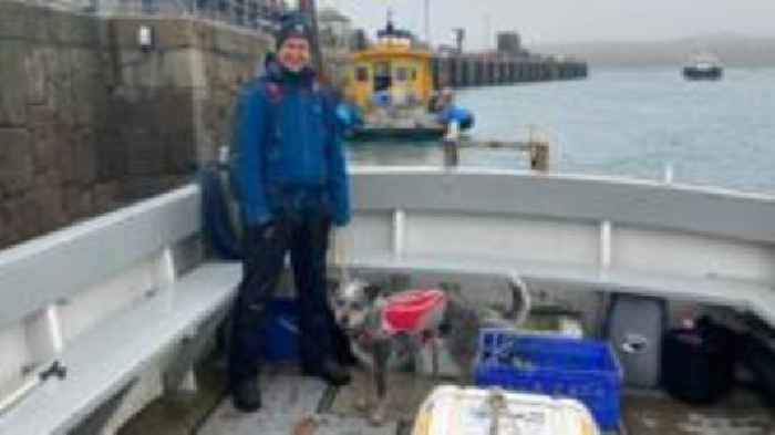 Dog tasked with search for rats on Isles of Scilly