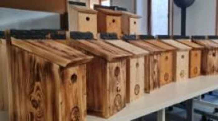 Prison inmates get creative to boost bird numbers