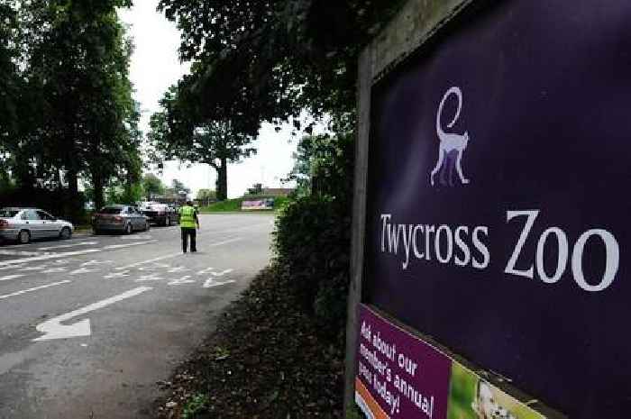 Twycross Zoo to charge for parking to support 'essential infrastructure improvements'