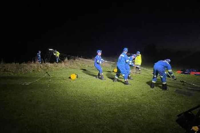 Dog sadly dies after falling from cliff edge in Bridlington