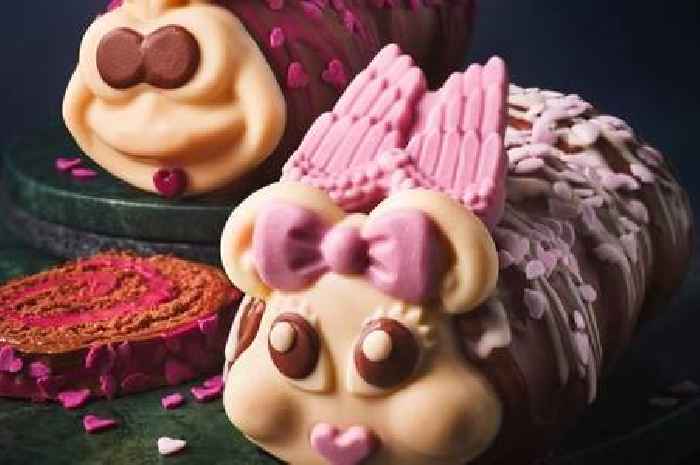 M&S' 'loveable' Valentine's Day Colin the caterpillar cakes has shoppers asking the same thing