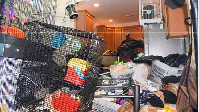 Hoarder charged with animal cruelty after 10 dead animals found in home