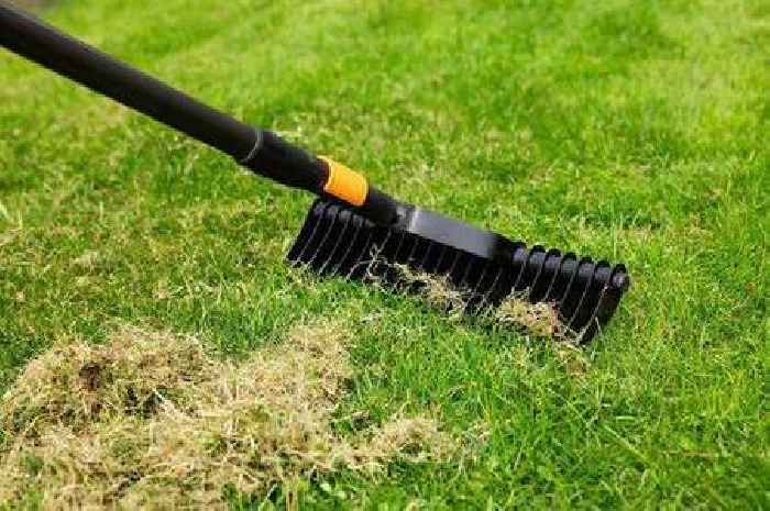 Winter lawn mistake to 'avoid right now' as it could kill your grass