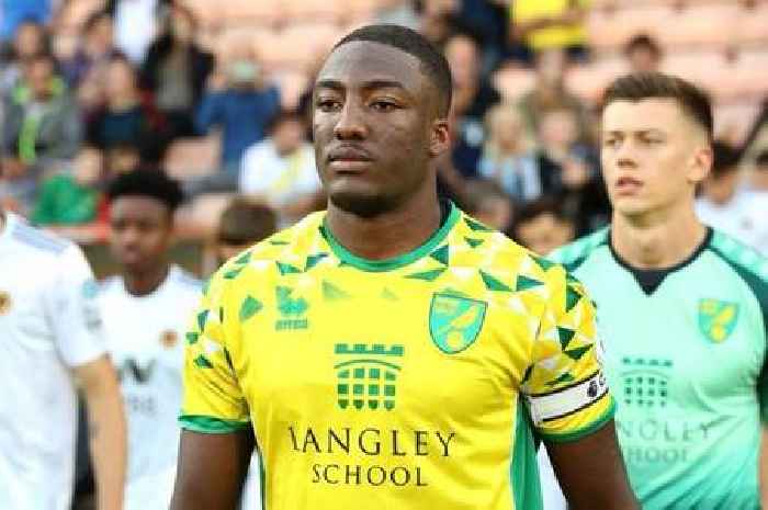 Ex-Norwich footballer Devonte Aransibia dies aged 26 as GoFundMe set up for family