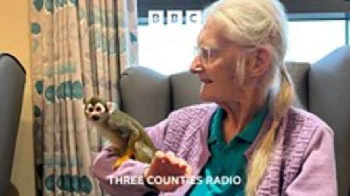 Monkeys make ‘emotional’ visit to Bedfordshire