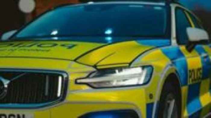 Man killed alongside his dog in crash named