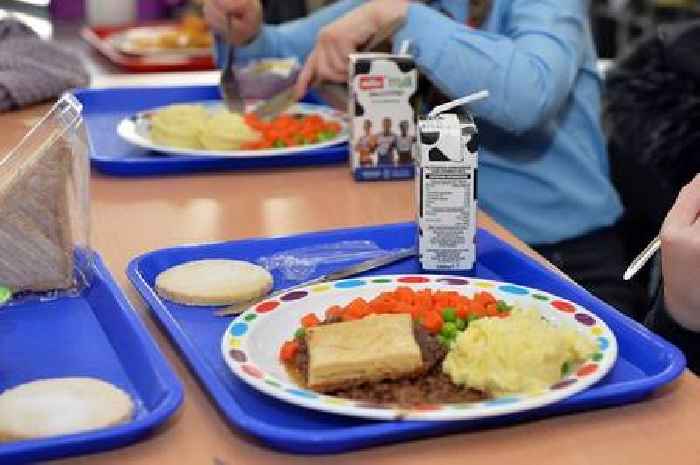 North Lanarkshire Council urged to sign up for free school meals expansion