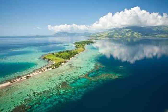 Pacific island diet may be the secret to 'slashing cholesterol and losing weight'