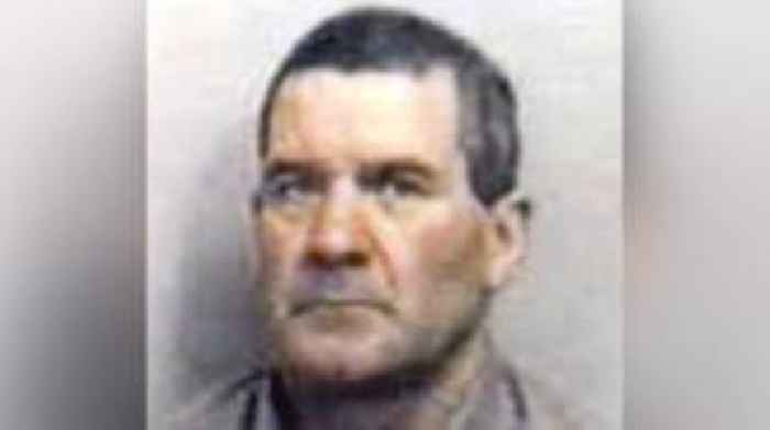 Essex Boys murderer Michael Steele to be released