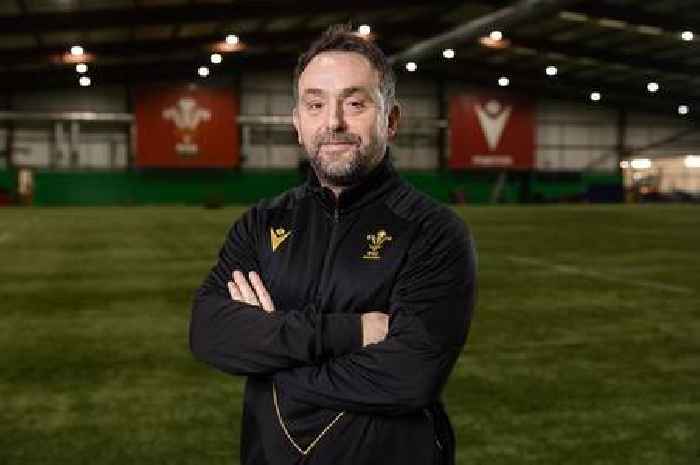 Wales international has 'funny feeling' about Matt Sherratt and his appointment