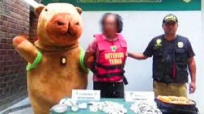 Peruvian police in capybara gear make Valentine's drug bust