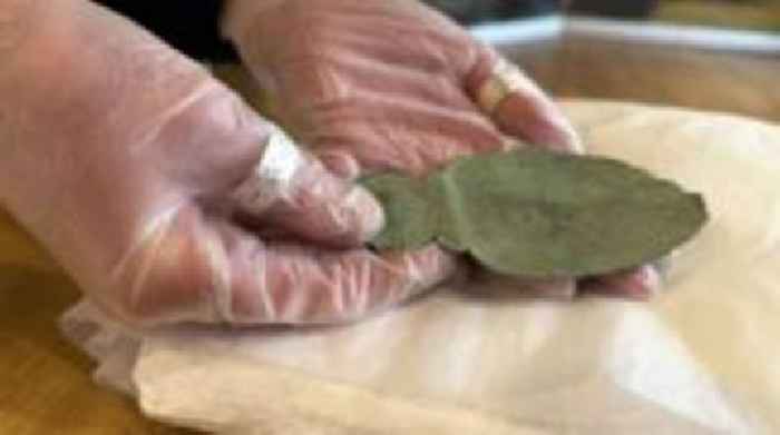 Iron Age ritual spoon goes on display at museum