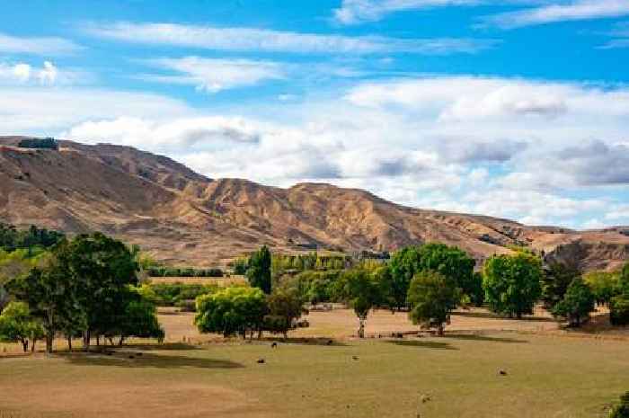 UK traveller dies after couples' bike crash in New Zealand