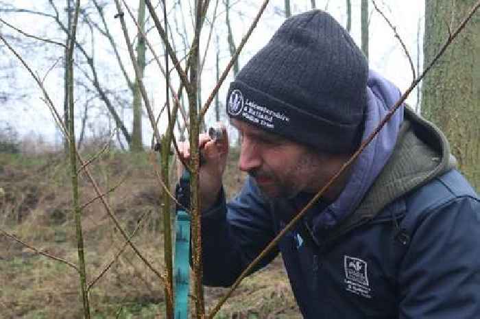 'Extremely rare' species of fungus discovered in Leicestershire
