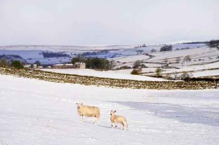 Eight counties in England set to wake up to snow from 6am tomorrow according to Met Office