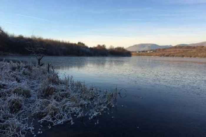 More Scots bird flu cases confirmed as dead swan found at country park