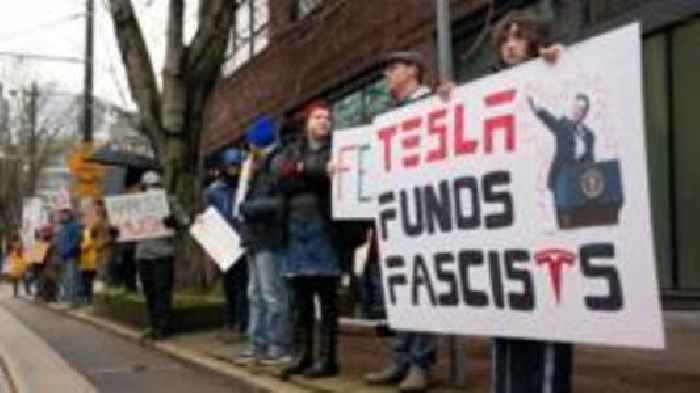 Americans protest against Elon Musk 'disassembling our democracy'