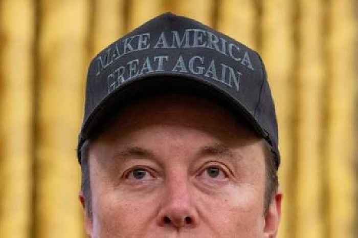 Elon Musk has 'secret 13th child' with MAGA influencer in latest scandal