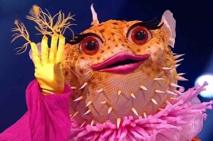 ITV Masked Singer's Pufferfish identity finally unveiled but fan's left scratching heads over absence