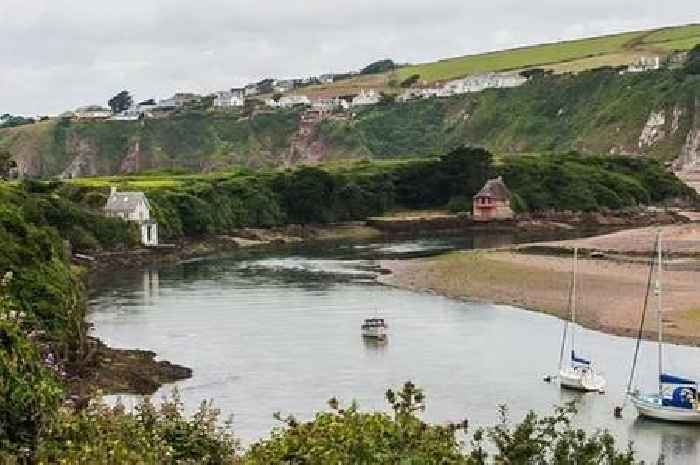 Devon village bought by Prince William's mate for £30 million