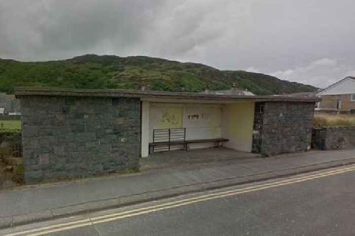 'It took us ten years to transform this abandoned public toilet into a lovely home by the beach'