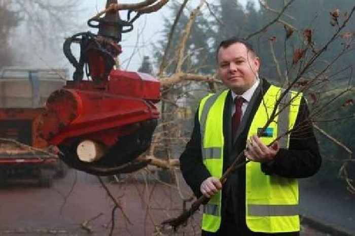 Ash dieback disease is being tackled in trees across South Lanarkshire