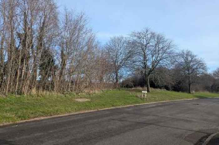 Former Derby MP starts petition over council's land sale that could lead to new housing estate