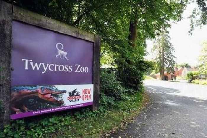 Twycross Zoo introduces parking charges to raise 'vital' extra cash