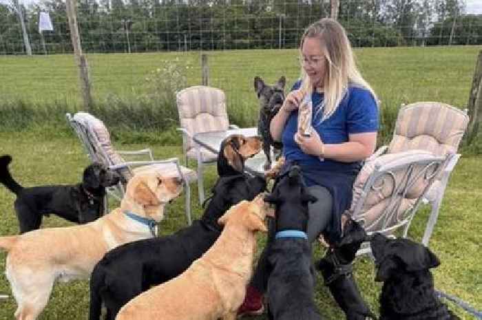 Stonehouse doggy daycare business unleashes plans to grow business thanks to support from Business Gateway