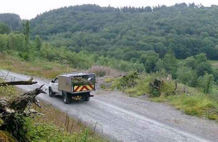 Flytipper caught on camera claimed he'd driven to forest to shoot rabbits