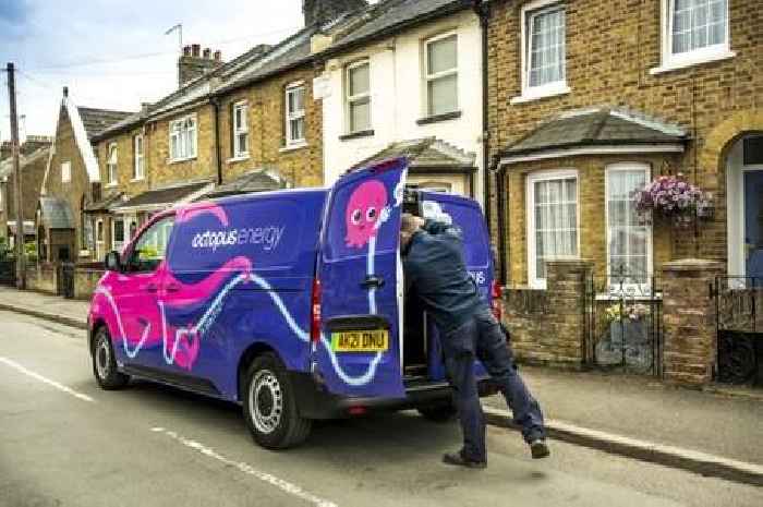 500k Octopus Energy and E.ON customers must make key change or face being 'cut off'
