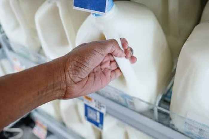 'Correct' place to store milk revealed – and it's not in fridge door