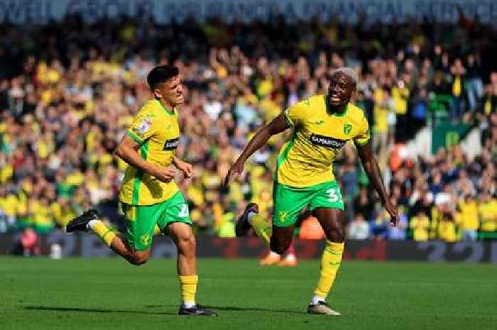 Norwich City could be without three key players for Stoke City clash