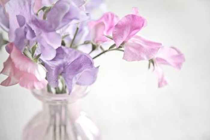 Make supermarket flowers last fortnight by adding three cupboard items to water