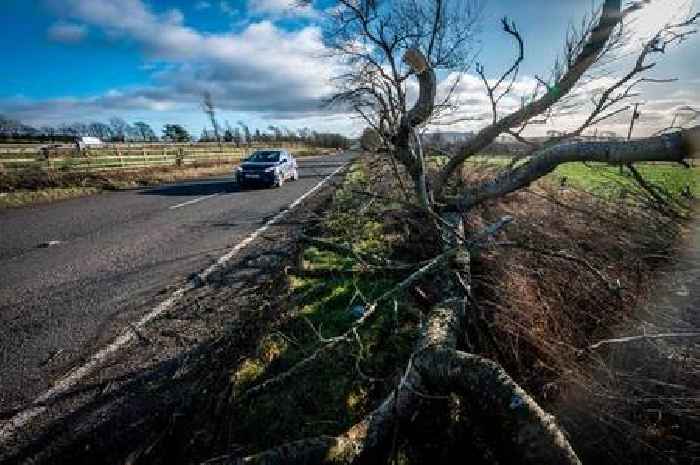 Dumfries and Galloway set to be battered by winds of up to 70mph as new weather warning issued