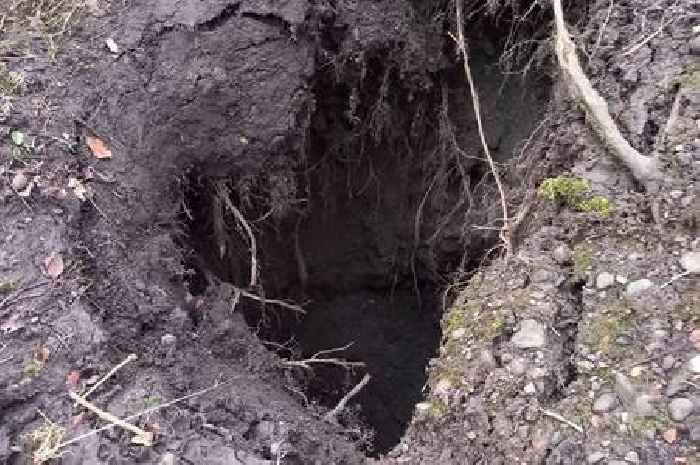 Large sinkhole closes popular walking route at Scots wildlife reserve