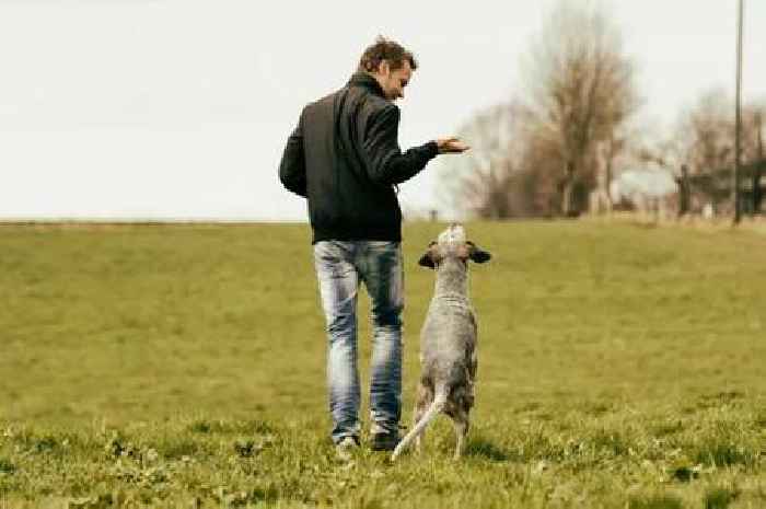 West Lothian's controversial 'dog exercise park' refused after locals make same complaint