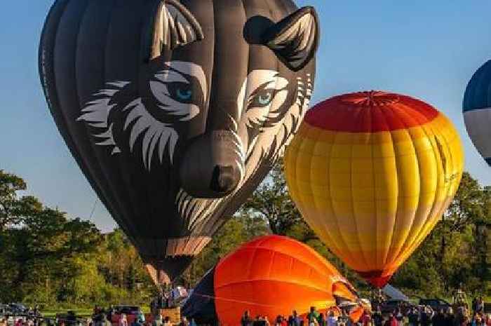 New hot air balloon festival coming to Nottingham's Wollaton Park