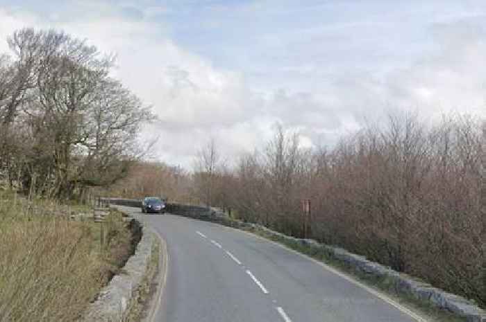 Live: Tree falls and blocks road near Dartmoor Prison