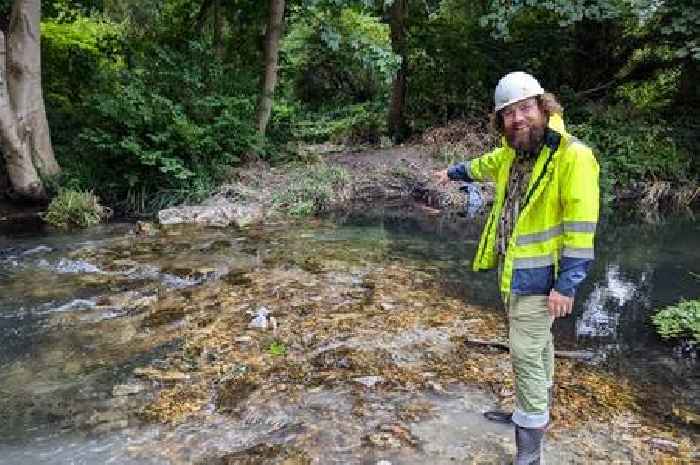 'Devastating' South London diesel spill in river 'could impact wildlife for years'