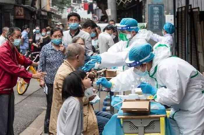 New 'deadly' coronavirus discovered in Chinese bats with high chance of infecting humans