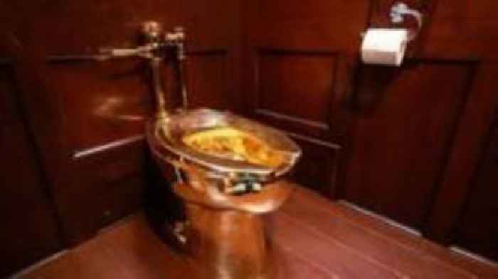 Golden toilet stolen in five minutes, court hears