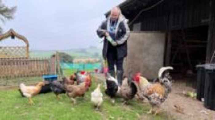 Animal sanctuary owner wins eviction battle