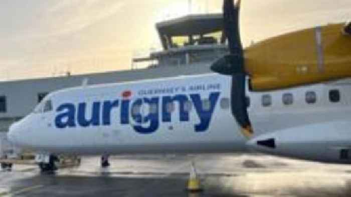 Flight delays in Guernsey after bird strike