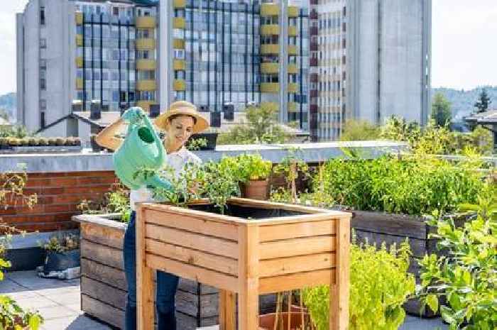 Gardening expert shares one simple tool that will help your flowers bloom this summer